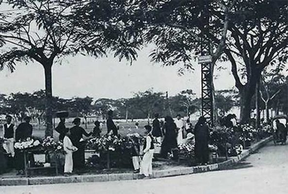 vi-sao-phong-trao-dong-du-that-bai